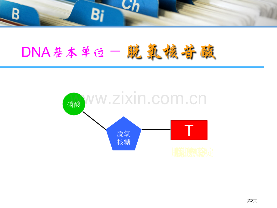 DNA测序化学降解法省公共课一等奖全国赛课获奖课件.pptx_第2页