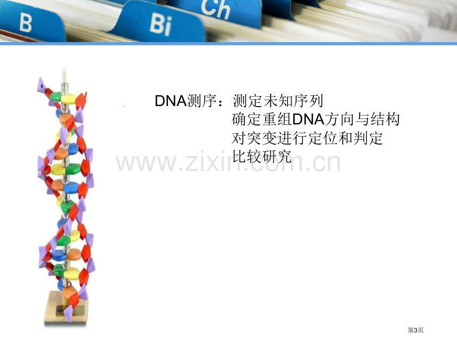 DNA测序化学降解法省公共课一等奖全国赛课获奖课件.pptx_第3页