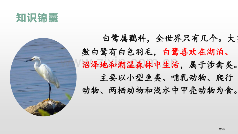 1.白鹭省公开课一等奖新名师比赛一等奖课件.pptx_第3页