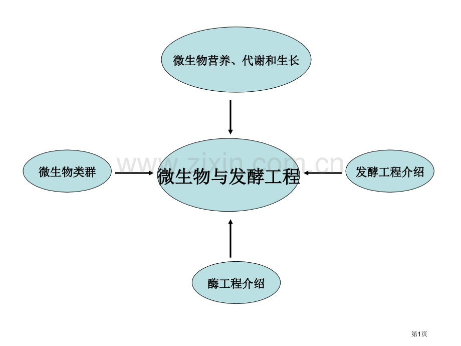 高三谷咏梅微生物与发酵工程省公共课一等奖全国赛课获奖课件.pptx_第1页