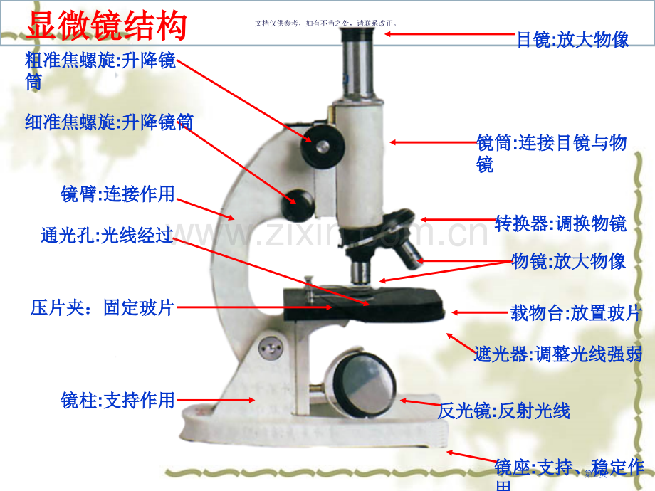 生物学的研究工具省公共课一等奖全国赛课获奖课件.pptx_第2页