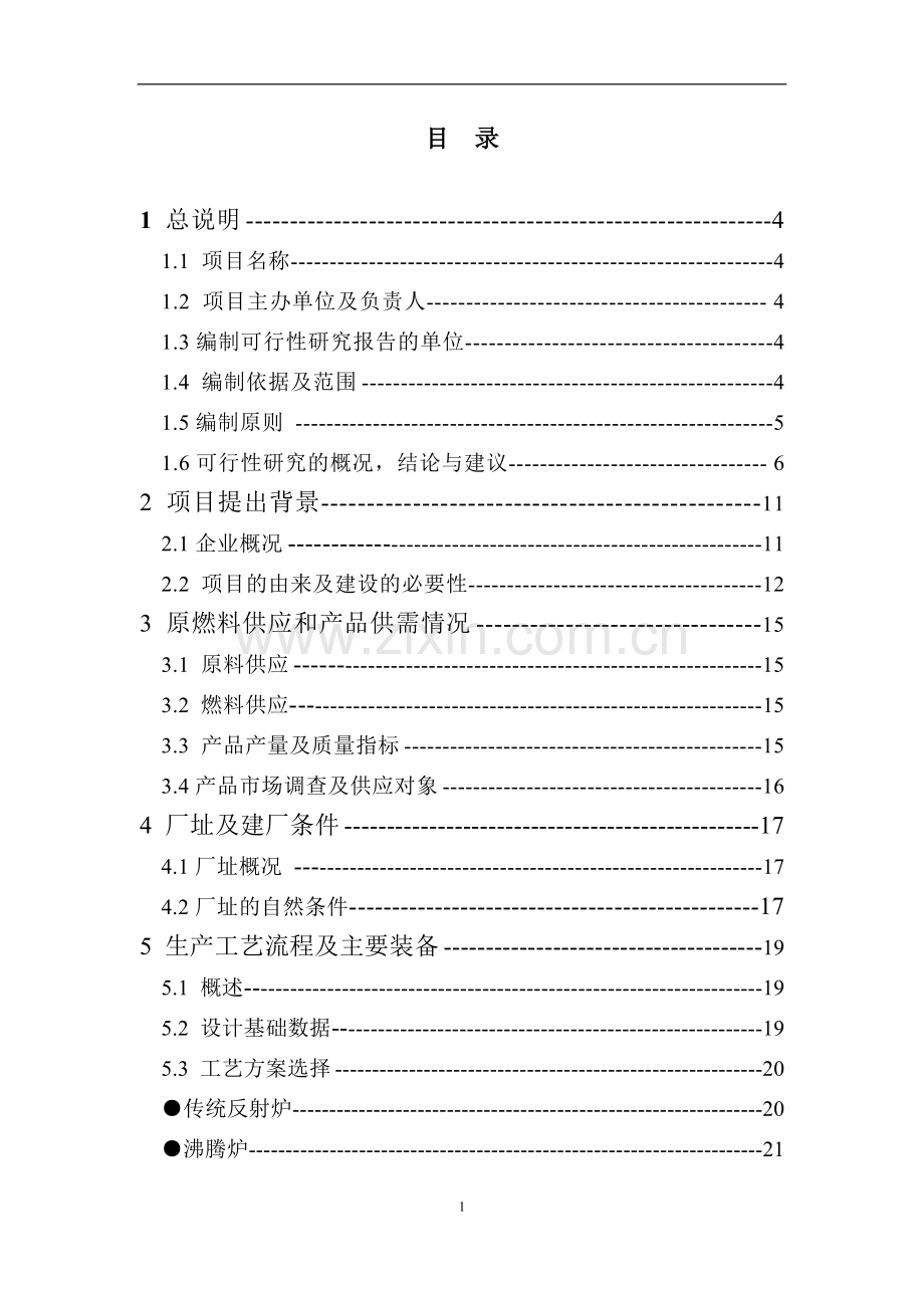 年产100000t轻烧氧化镁反射窑节能减排改造项目可行性研究报告.doc_第1页