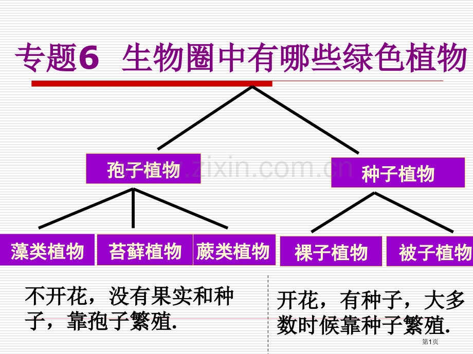 专题7生物圈中有哪些绿色植物省公共课一等奖全国赛课获奖课件.pptx_第1页