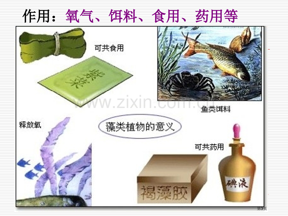 专题7生物圈中有哪些绿色植物省公共课一等奖全国赛课获奖课件.pptx_第3页