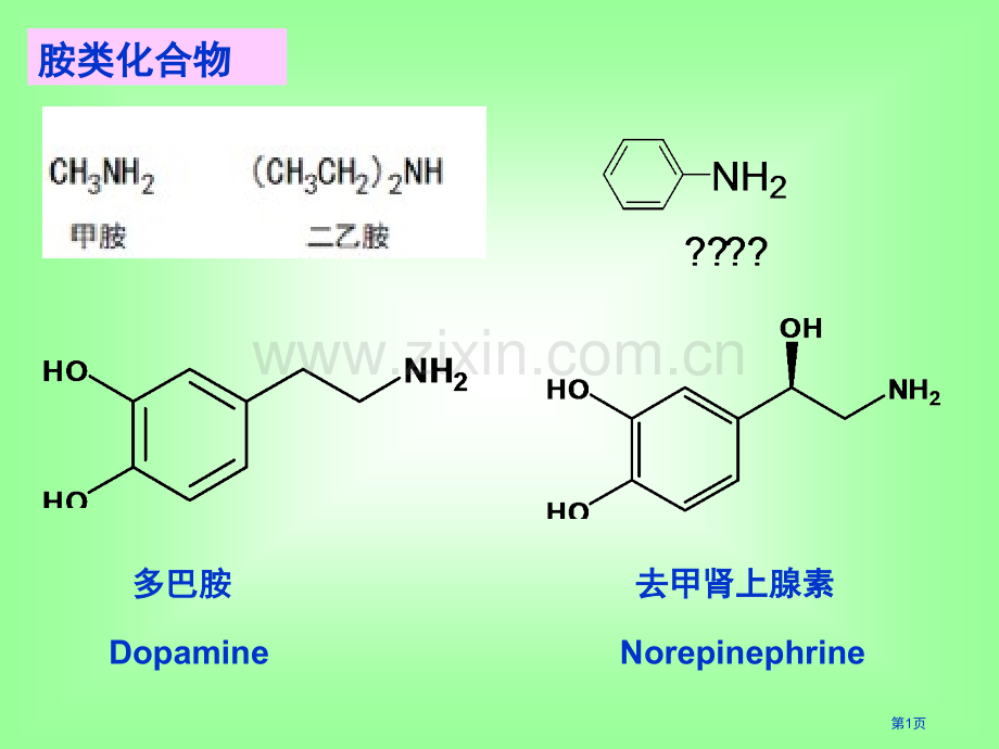 有机化学有机化学胺和生物碱省公共课一等奖全国赛课获奖课件.pptx_第1页