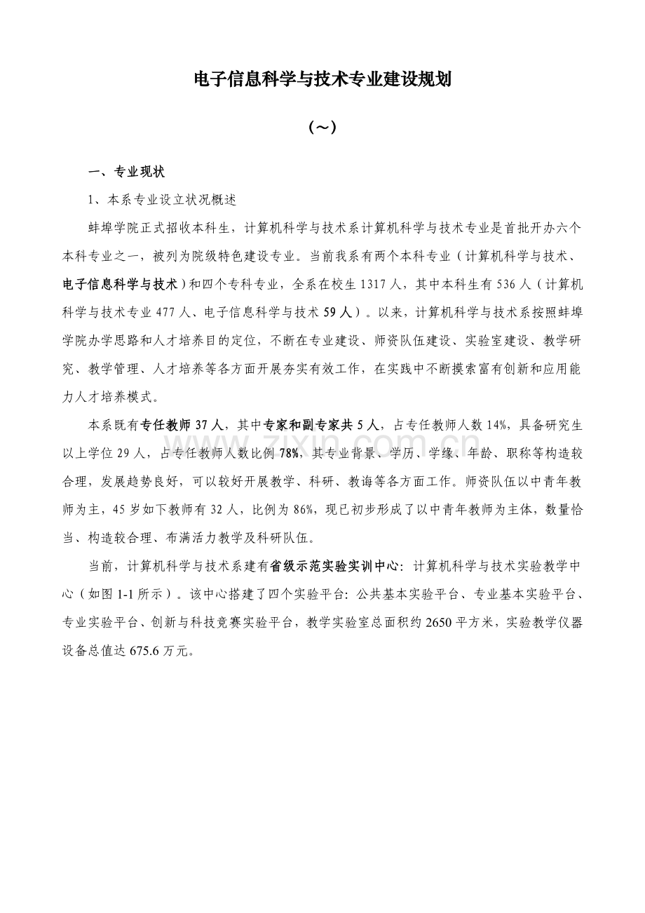 电子信息科学与关键技术专业建设规划方案.doc_第1页