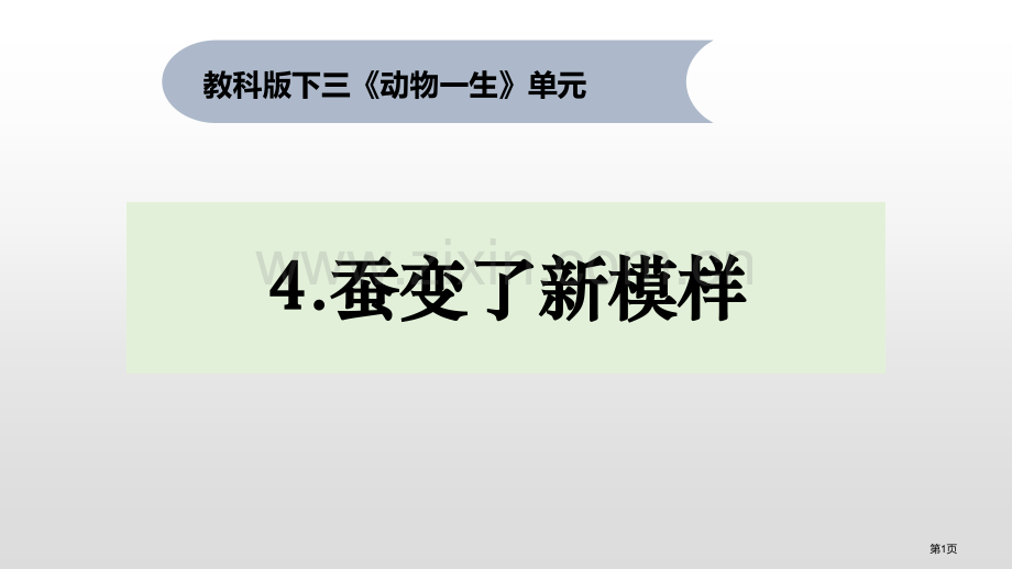 三年级下册科学课件-2.4蚕变了新模样--教科版省公开课一等奖新名师优质课比赛一等奖课件.pptx_第1页