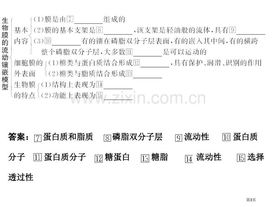 届高考生物第一轮基础自主梳理复习5市公开课一等奖百校联赛特等奖课件.pptx_第3页