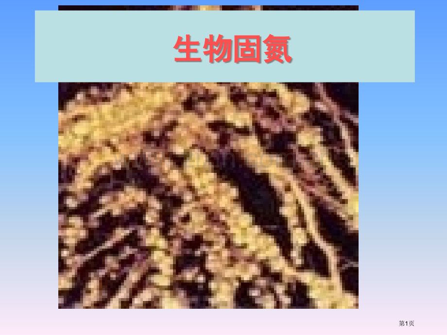 生物固氮专题知识省公共课一等奖全国赛课获奖课件.pptx_第1页