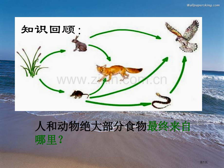 -绿色植物是生物圈中有机物的制造者省公共课一等奖全国赛课获奖课件.pptx_第1页