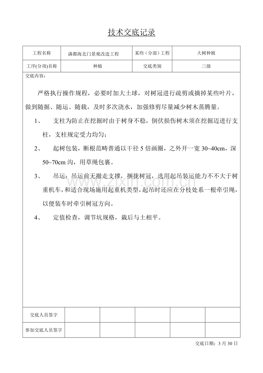 绿化关键技术交底记录.doc_第3页