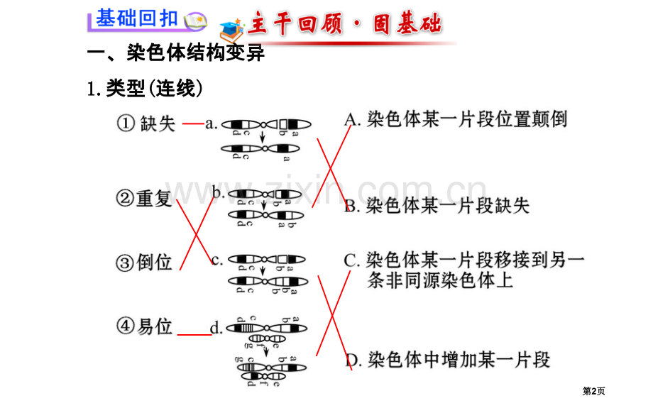 届高三生物金榜频道一轮必修染色体变异市公开课一等奖百校联赛特等奖课件.pptx_第2页