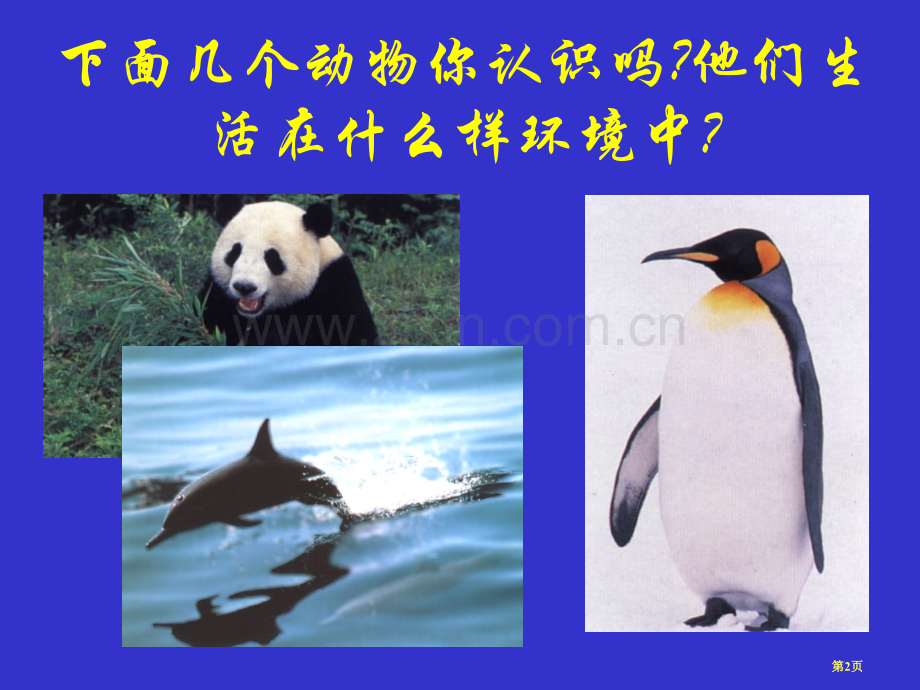 环境对生物的影响省公共课一等奖全国赛课获奖课件.pptx_第2页