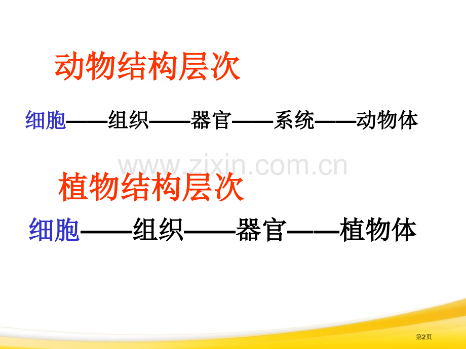 单细胞生物细胞怎样构成生物体省公开课一等奖新名师优质课比赛一等奖课件.pptx_第2页