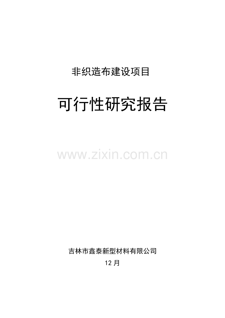 非织造布可行性研究应用报告.doc_第1页