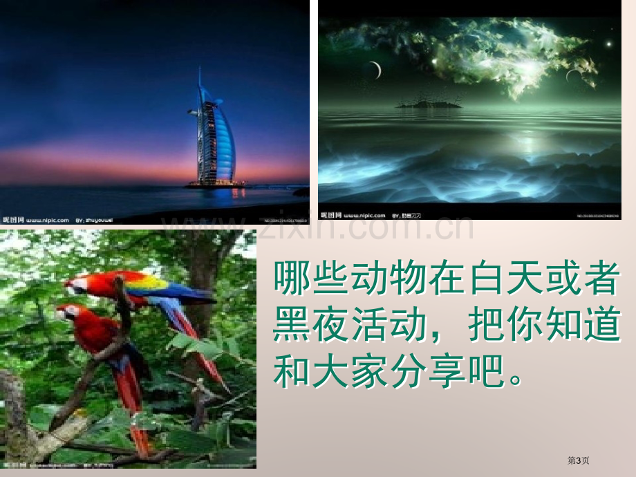 昼夜与生物省公开课一等奖新名师优质课比赛一等奖课件.pptx_第3页