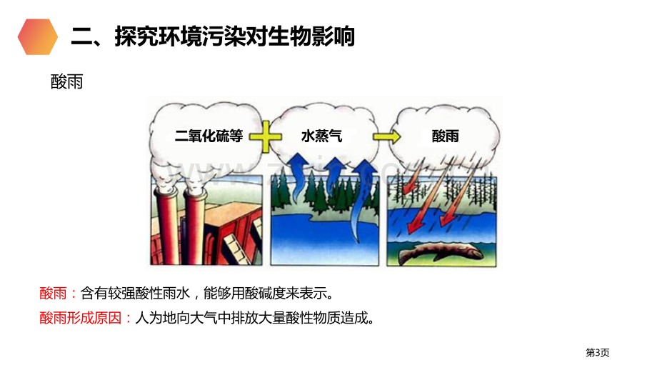 探究环境污染对生物的影响省公开课一等奖新名师优质课比赛一等奖课件.pptx_第3页