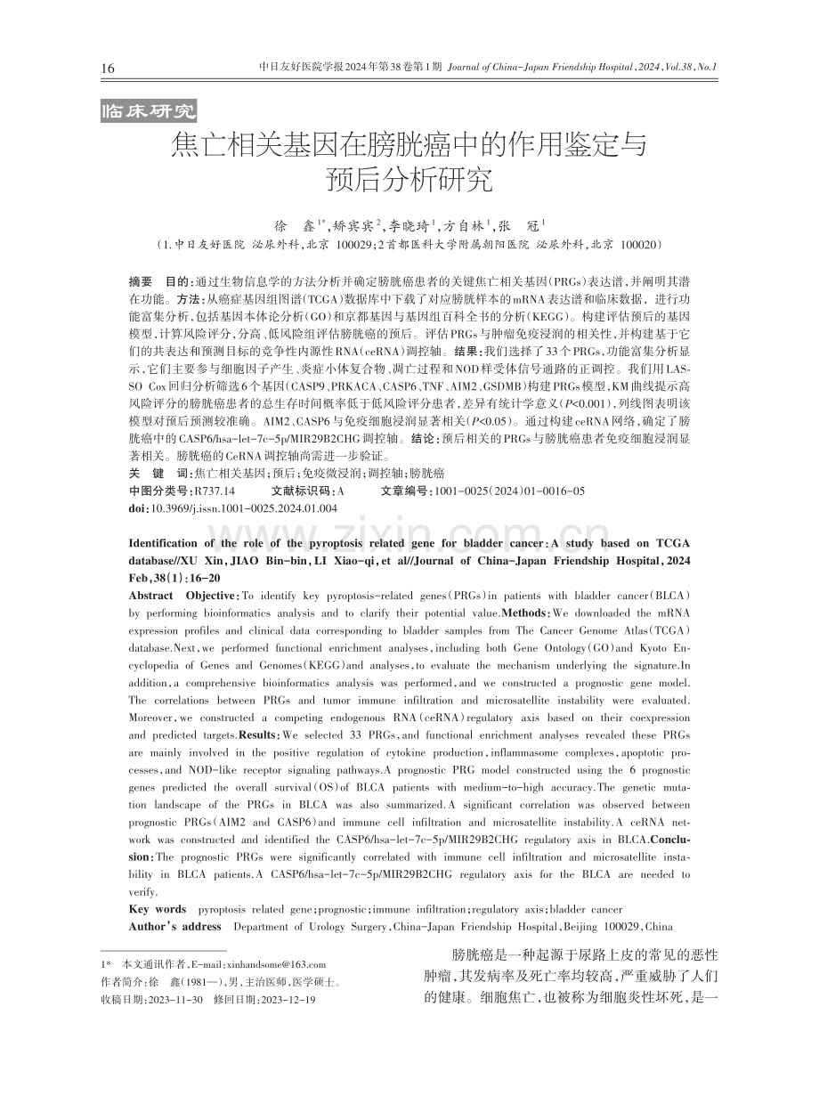 焦亡相关基因在膀胱癌中的作用鉴定与预后分析研究.pdf_第1页