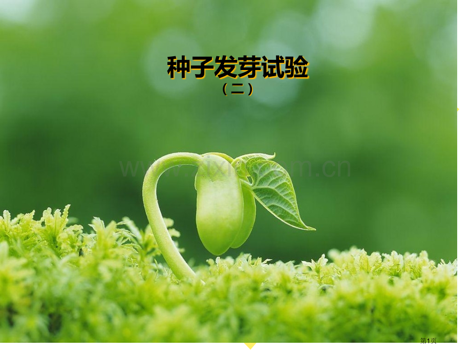 种子发芽实验(二)生物与环境省公开课一等奖新名师优质课比赛一等奖课件.pptx_第1页