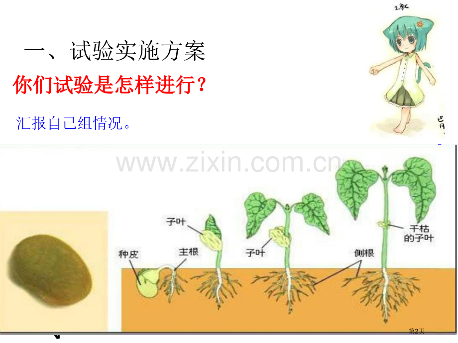 种子发芽实验(二)生物与环境省公开课一等奖新名师优质课比赛一等奖课件.pptx_第2页