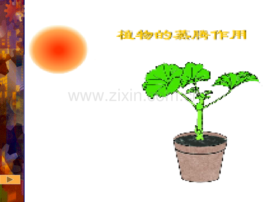 绿色植物参和生物圈的水循环(2)省公共课一等奖全国赛课获奖课件.pptx_第2页