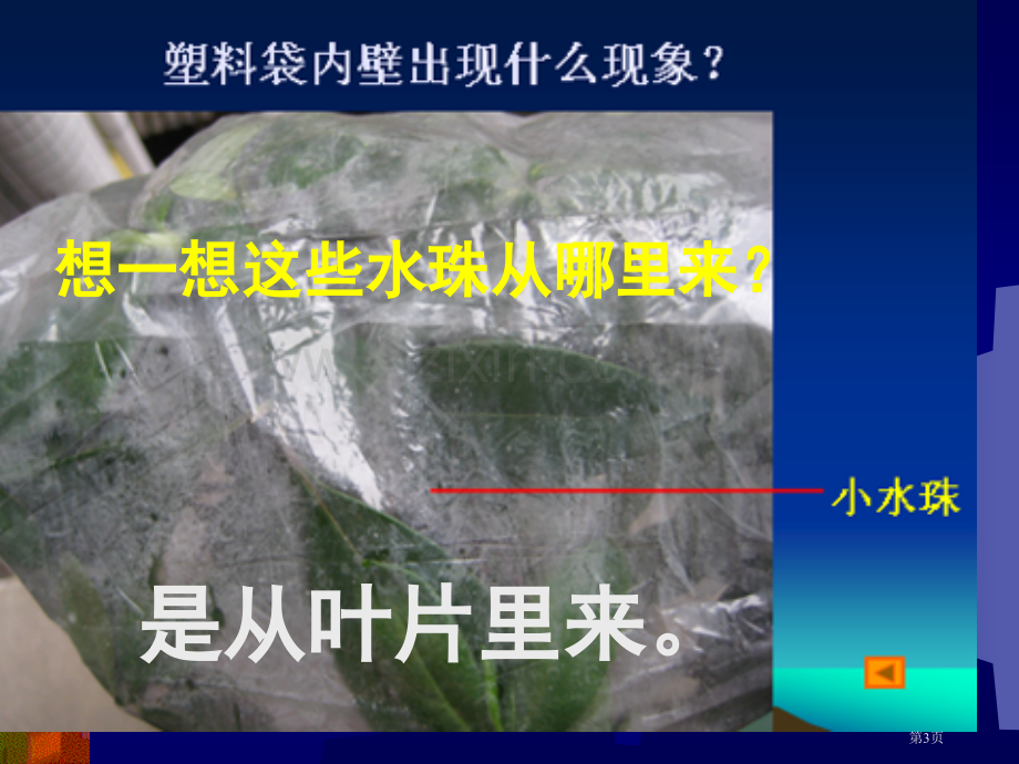 绿色植物参和生物圈的水循环(2)省公共课一等奖全国赛课获奖课件.pptx_第3页