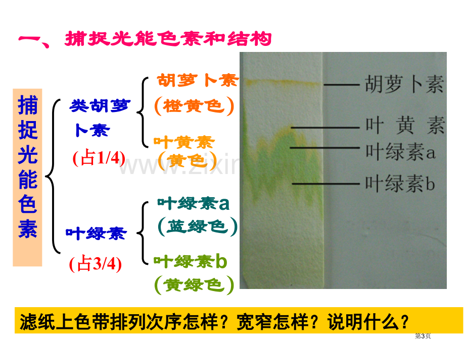 生物能量之源光与光合作用新人教版必修-省公共课一等奖全国赛课获奖课件.pptx_第3页