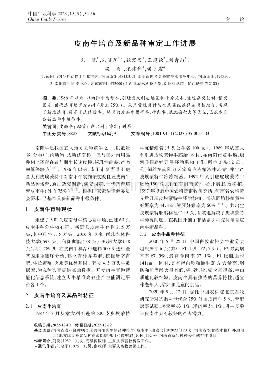 皮南牛培育及新品种审定工作进展.pdf_第1页