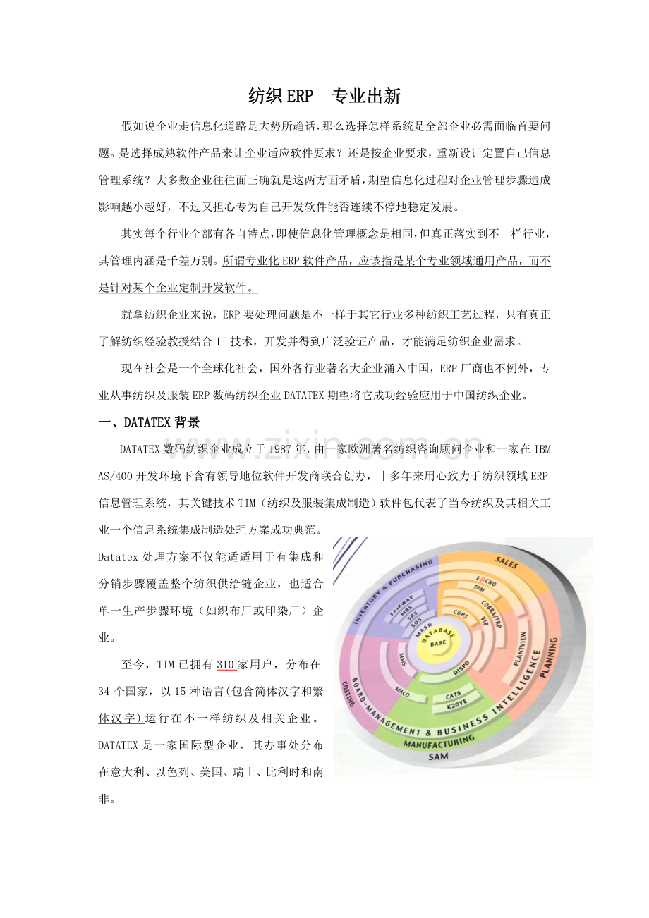 纺织企业实施ERP系统解决方案样本.doc_第1页