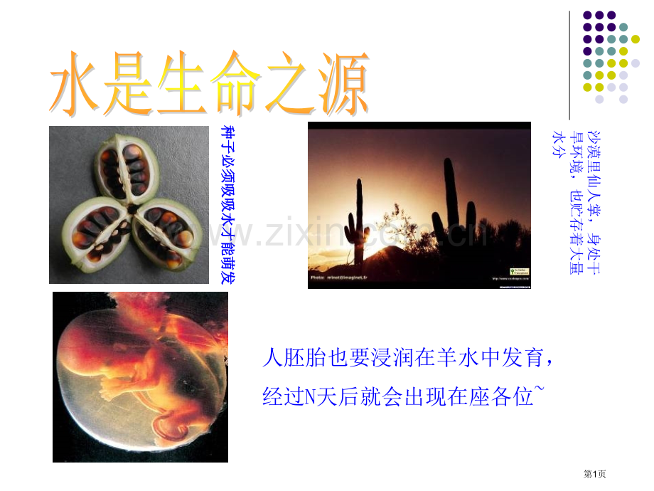 人教版教学细胞中的无机盐省公共课一等奖全国赛课获奖课件.pptx_第1页