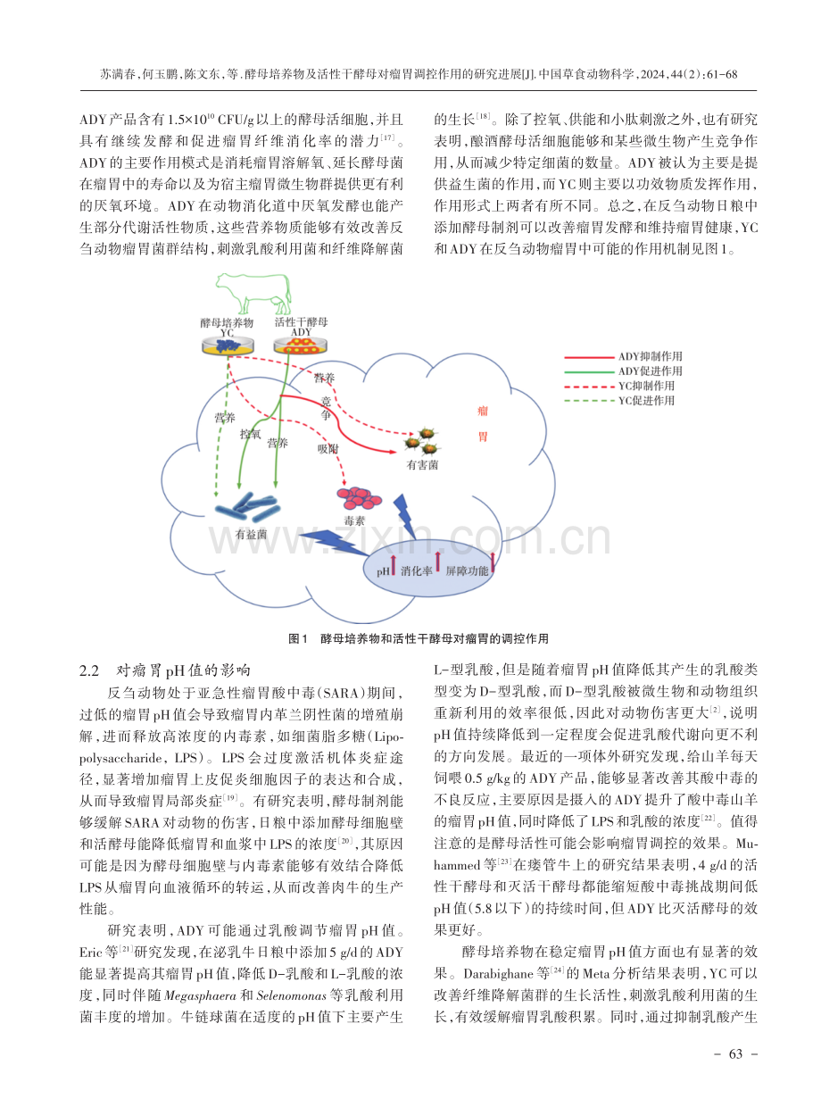 酵母培养物及活性干酵母对瘤胃调控作用的研究进展.pdf_第3页