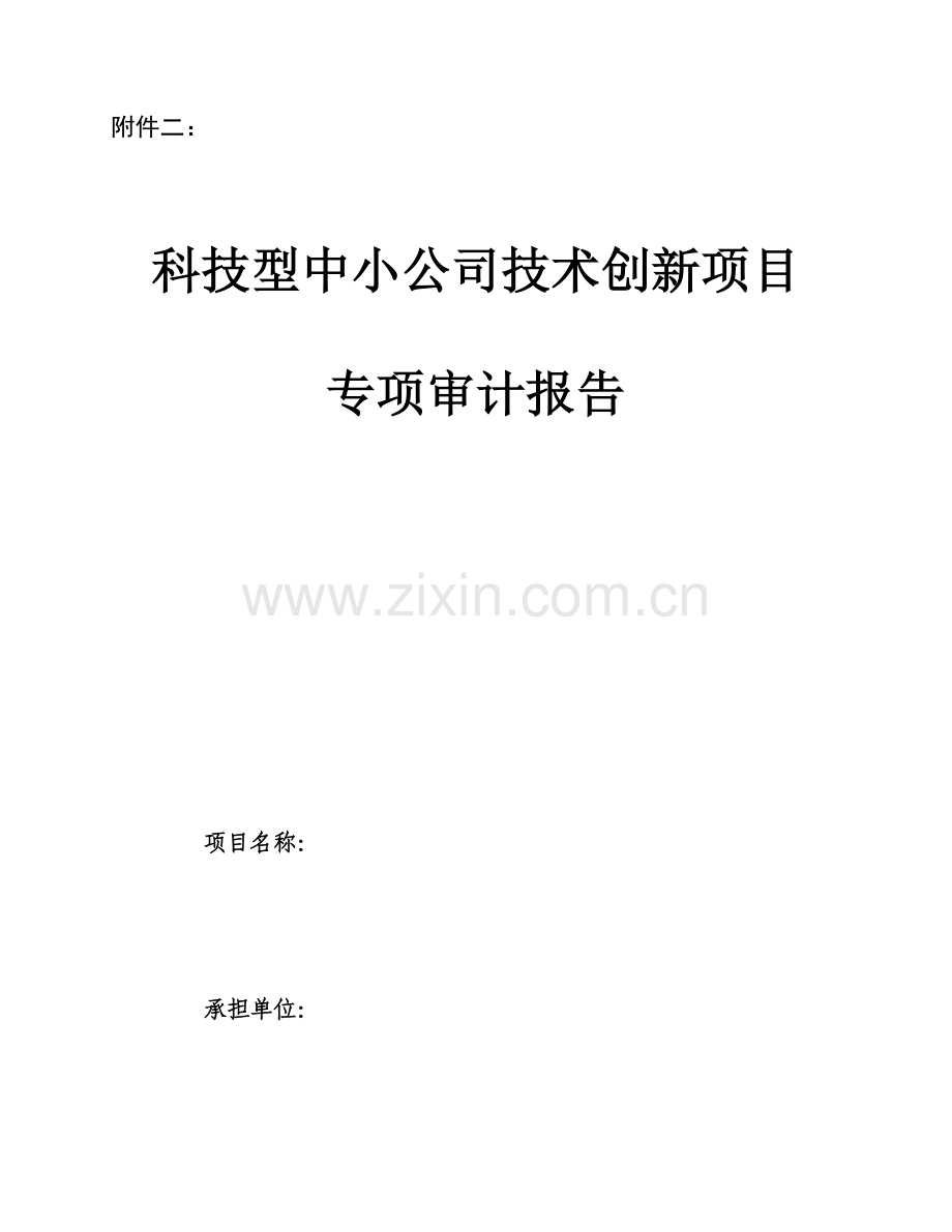 科技型中小企业关键技术创新综合项目验收专项审计综合报告.doc_第1页