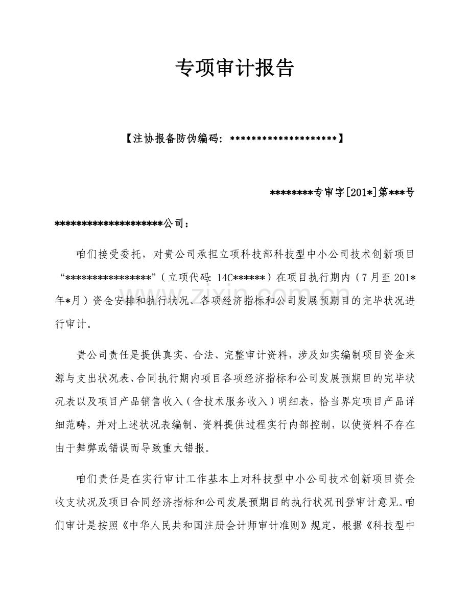 科技型中小企业关键技术创新综合项目验收专项审计综合报告.doc_第3页