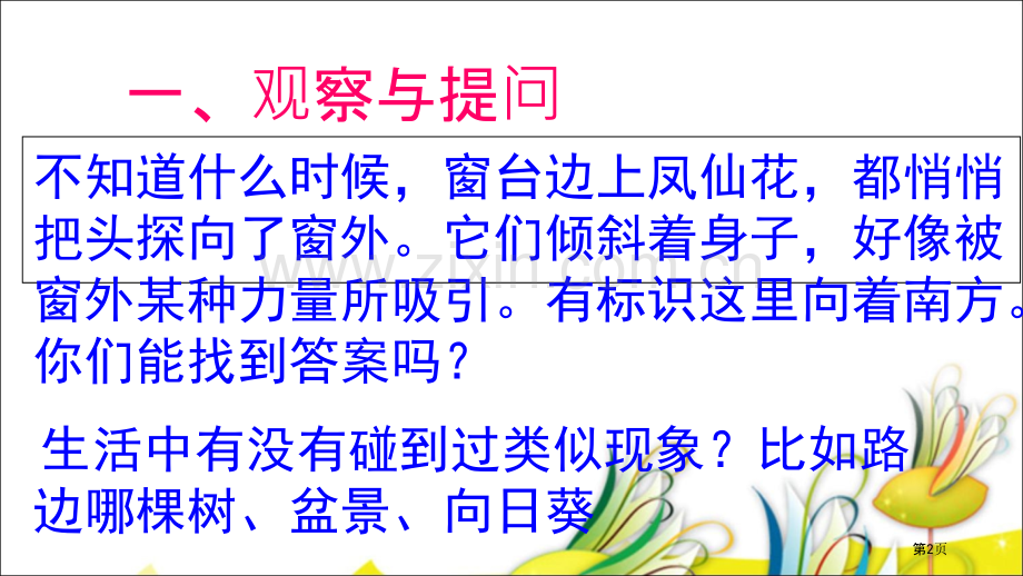 植物角里的科学问题省公共课一等奖全国赛课获奖课件.pptx_第2页