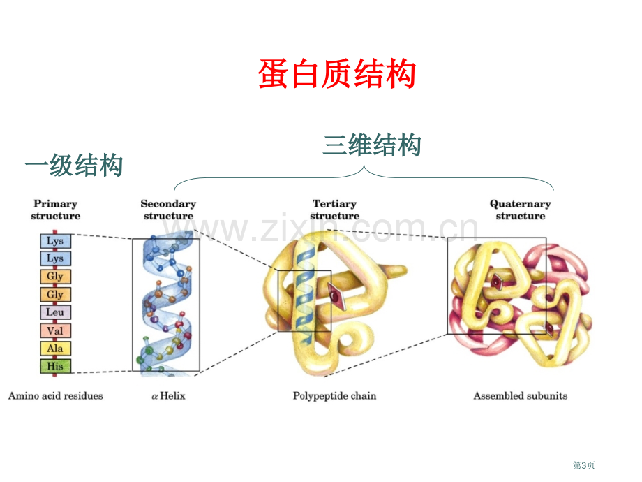 生物化学习题课省公共课一等奖全国赛课获奖课件.pptx_第3页