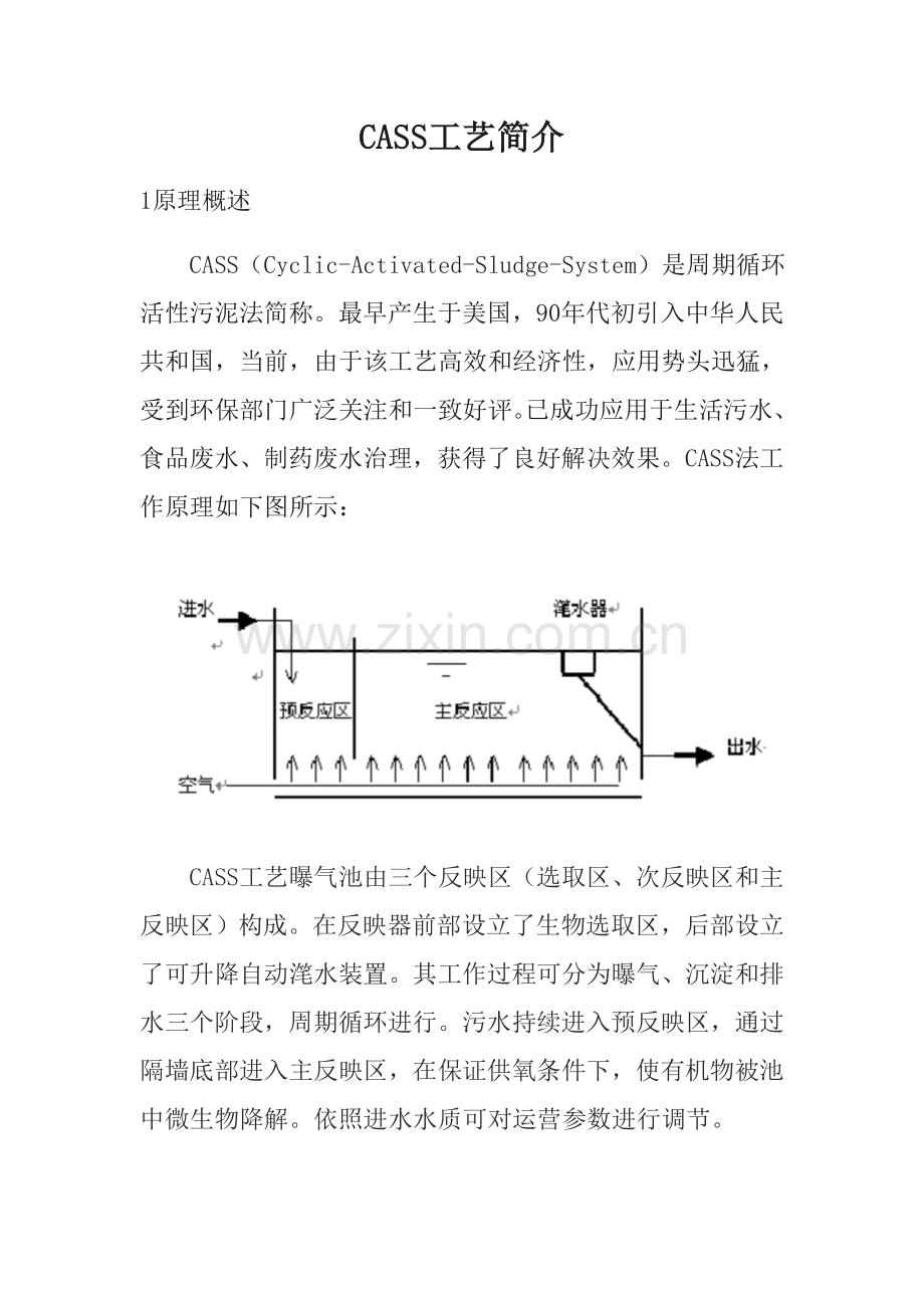 CASS基本工艺优缺点专业资料.doc_第1页