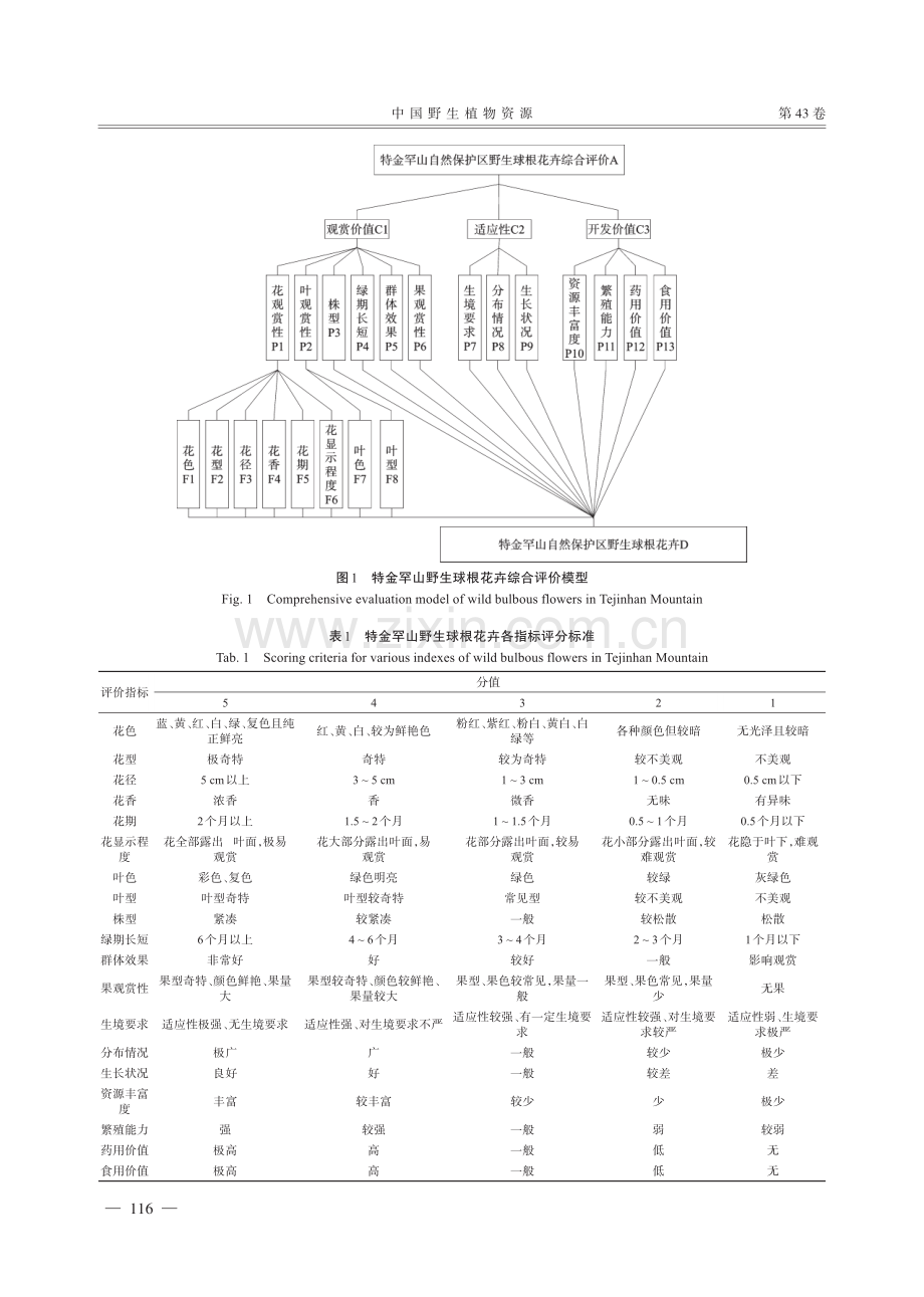 特金罕山国家自然保护区野生球根花卉资源综合评价.pdf_第3页