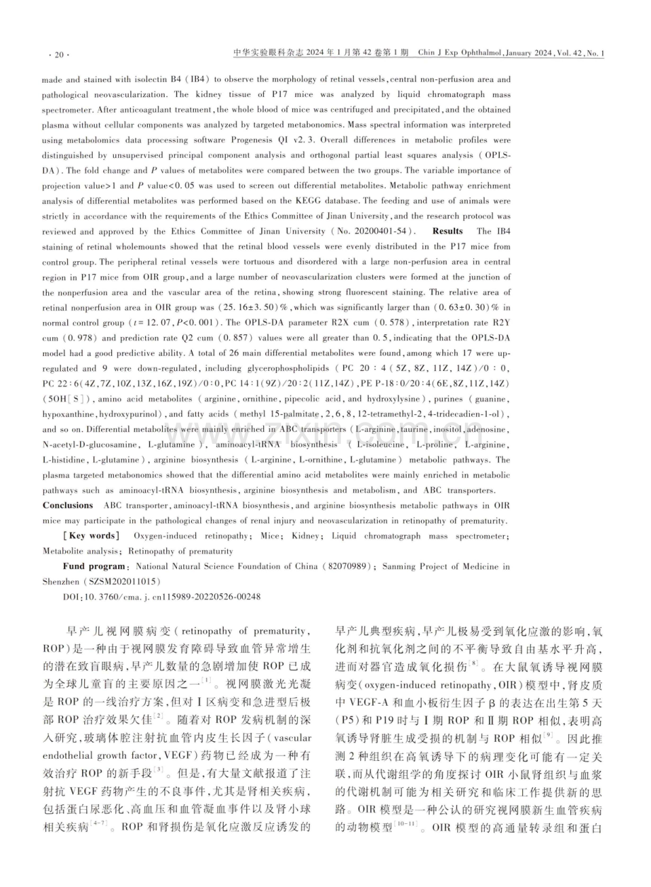 氧诱导视网膜病变模型小鼠肾组织代谢组学研究.pdf_第2页