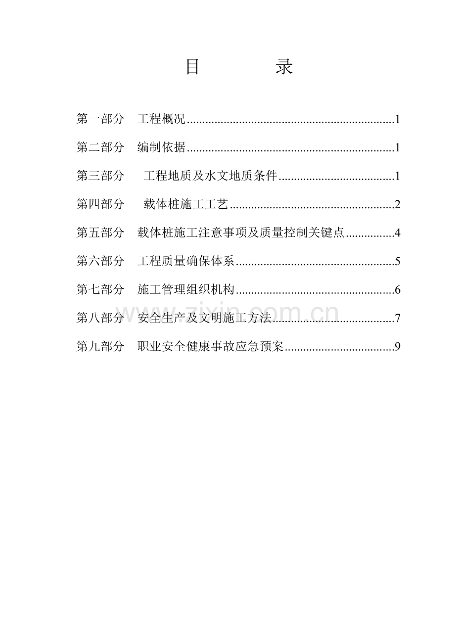 载体桩综合项目施工专项方案.doc_第2页