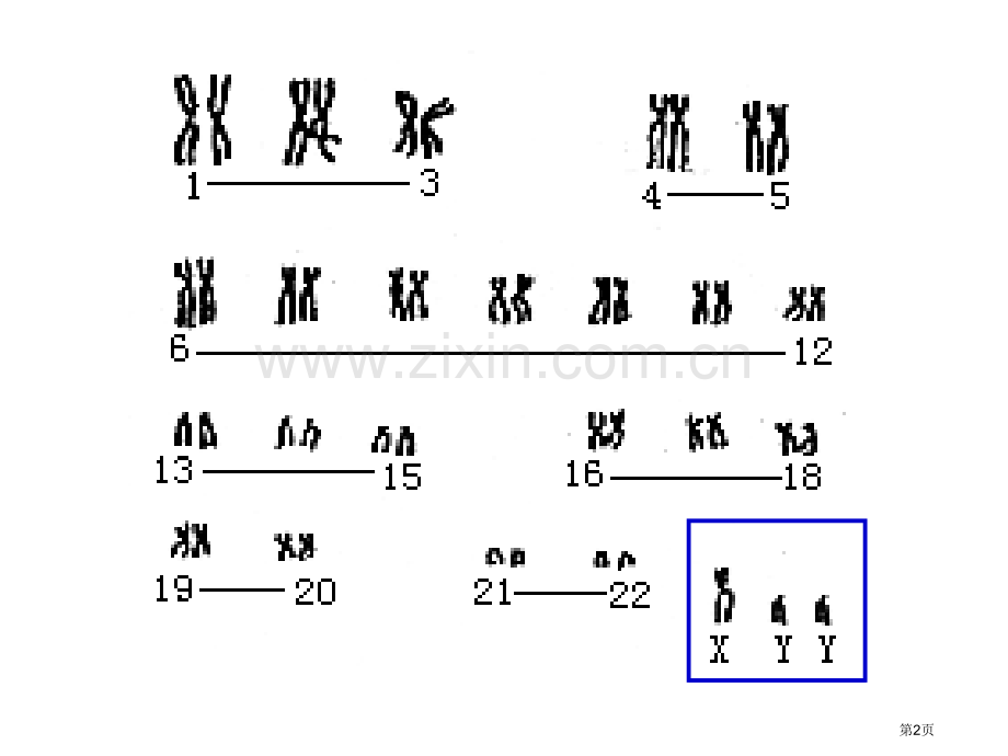 生物的变异和进化省公共课一等奖全国赛课获奖课件.pptx_第2页