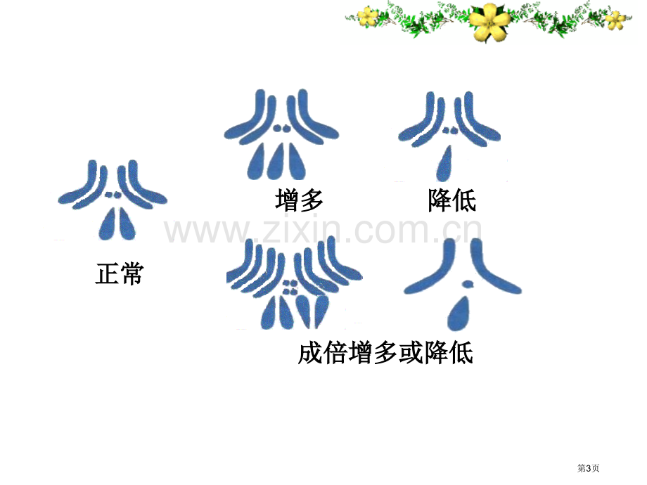 生物的变异和进化省公共课一等奖全国赛课获奖课件.pptx_第3页