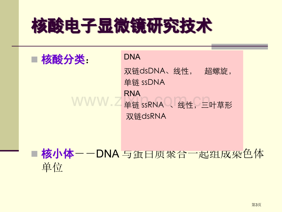 生物大分子的电子显微镜技术市公开课一等奖百校联赛特等奖课件.pptx_第3页