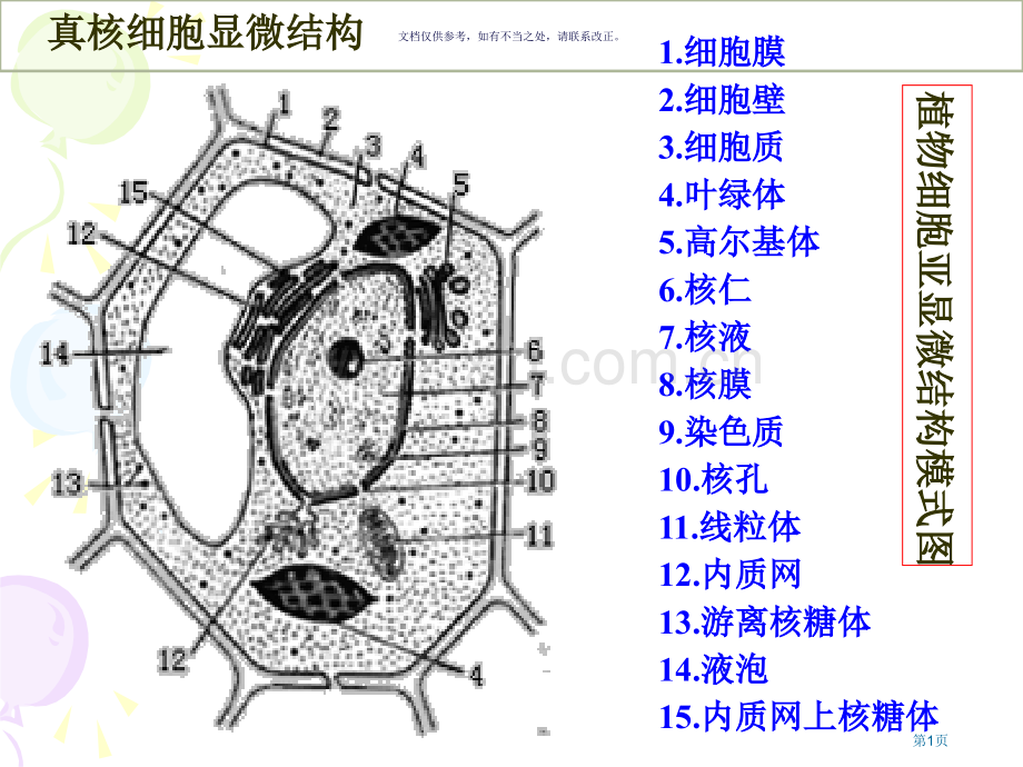 复习细胞的结构和功能市公开课一等奖百校联赛获奖课件.pptx_第1页