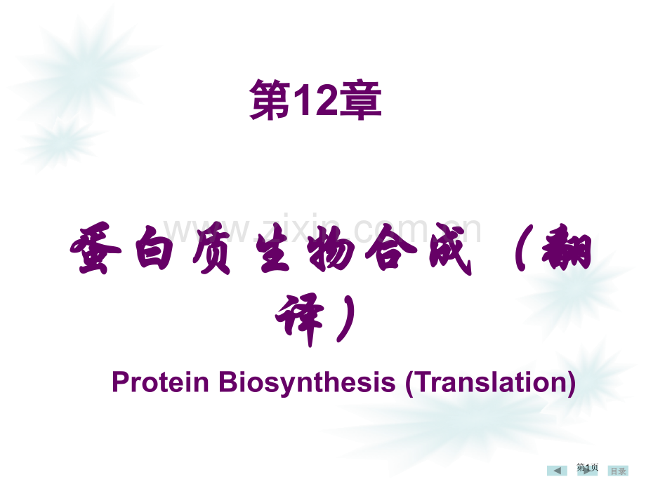 蛋白质生物合成省公共课一等奖全国赛课获奖课件.pptx_第1页