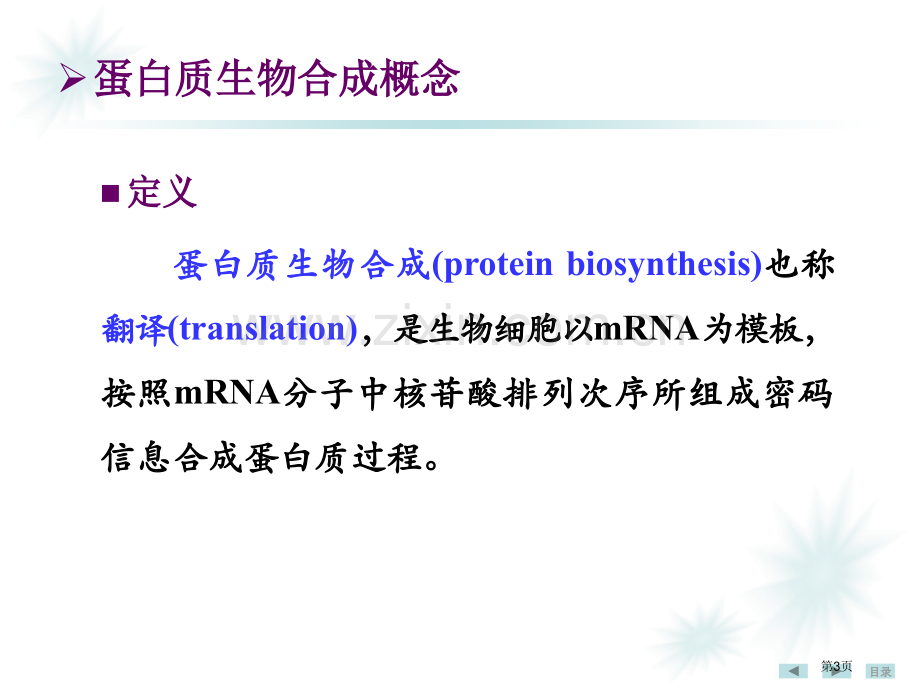 蛋白质生物合成省公共课一等奖全国赛课获奖课件.pptx_第3页