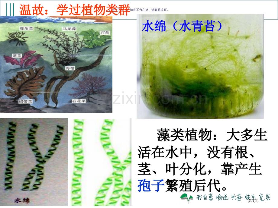 第六单元尝试对生物进行分类省公共课一等奖全国赛课获奖课件.pptx_第3页