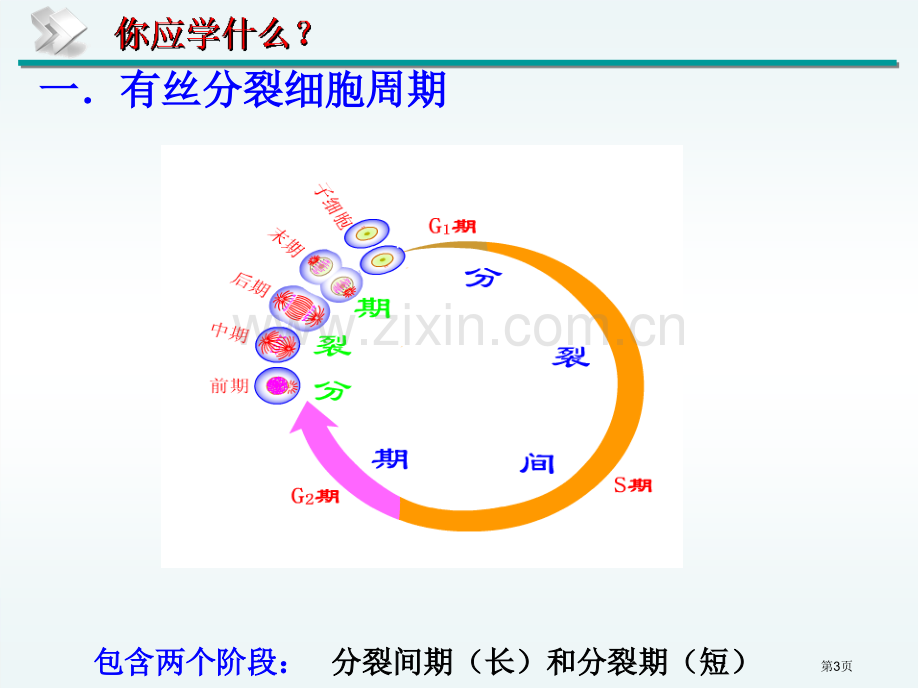 细胞增殖一轮复习省公共课一等奖全国赛课获奖课件.pptx_第3页