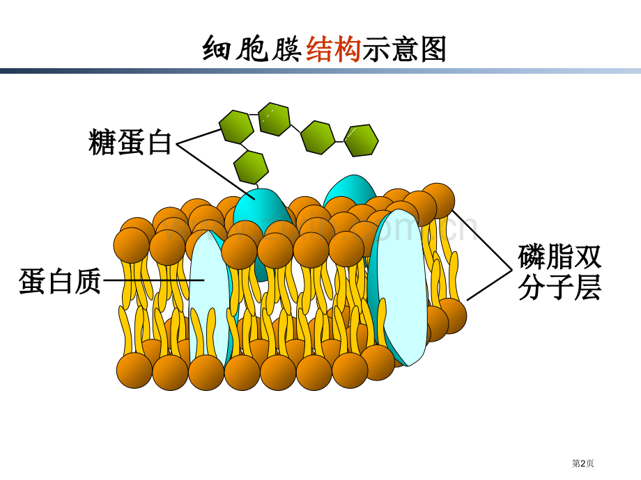 必修物质跨膜运输的方式市公开课一等奖百校联赛获奖课件.pptx_第2页