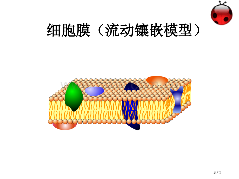 必修物质跨膜运输的方式市公开课一等奖百校联赛获奖课件.pptx_第3页