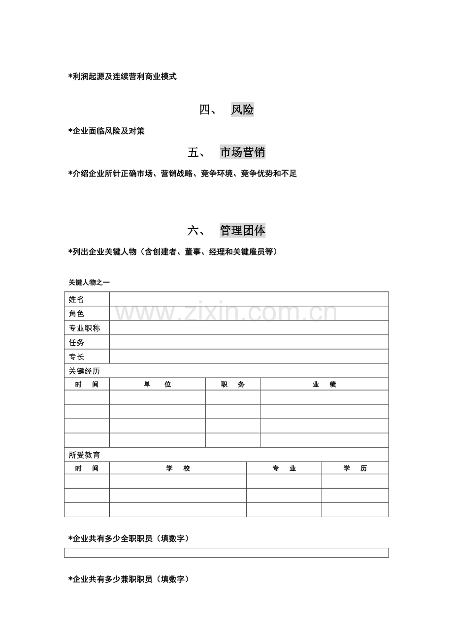 PEVC商业专题计划书模板.doc_第2页